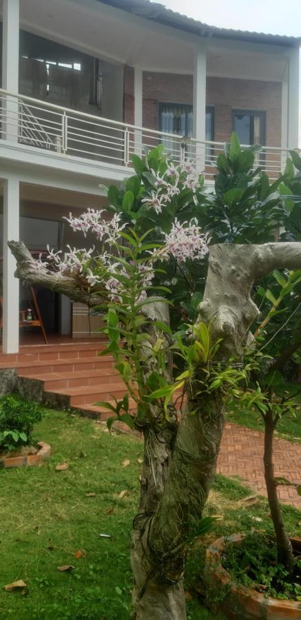 Linkin House Phú Quốc